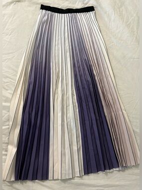 Pleated Ombre Maxi Skirt in Navy and Cream